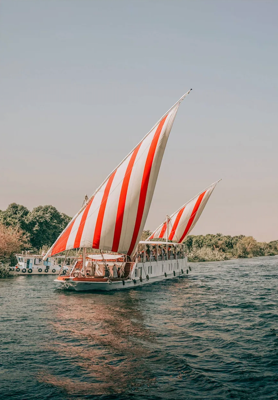 Tips van Febe: haal het beste van de zee in huis