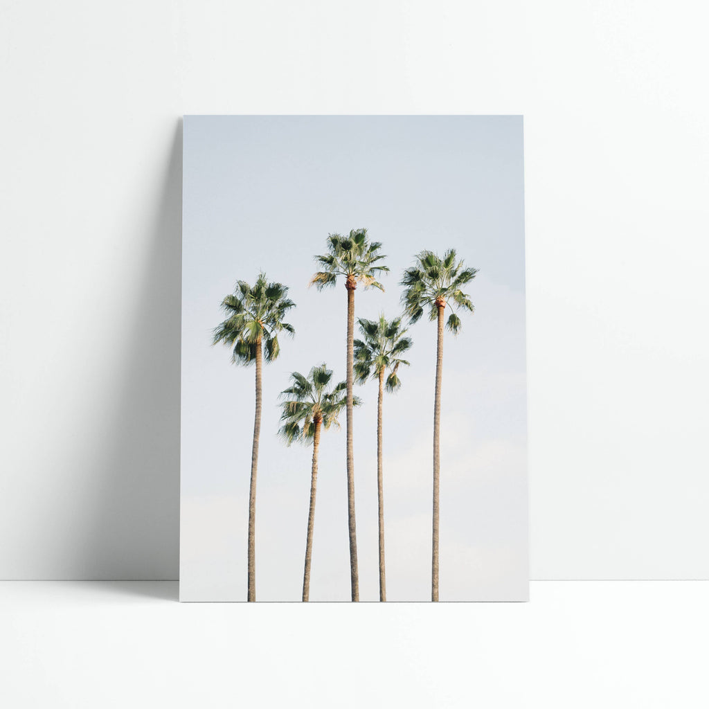 Poster Palmbomen
