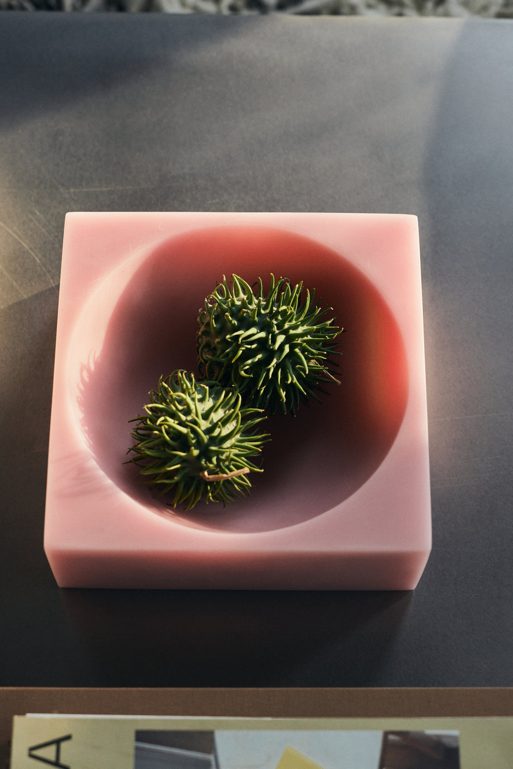 Pop Cube Pink L