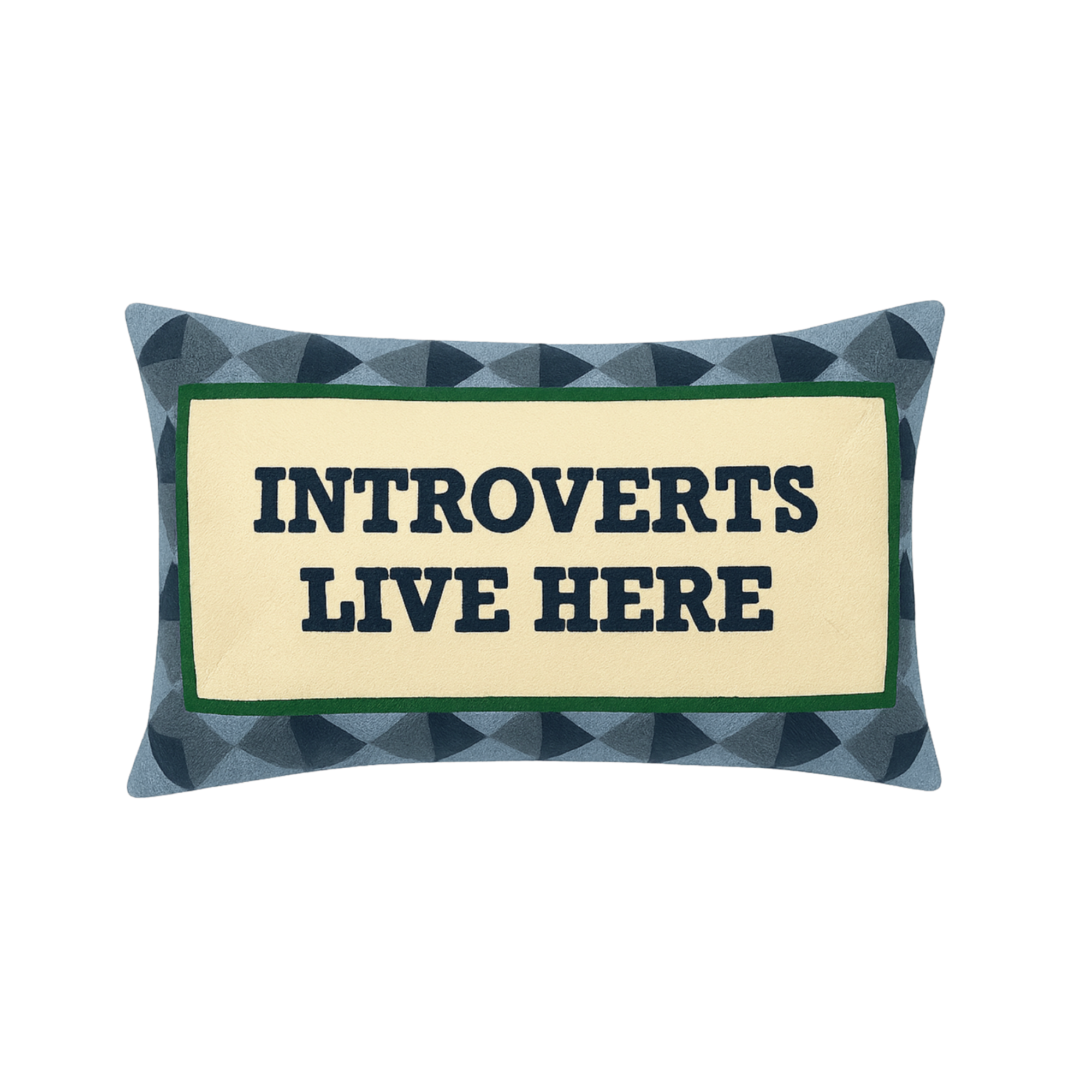 Introverts Live Here Kussen