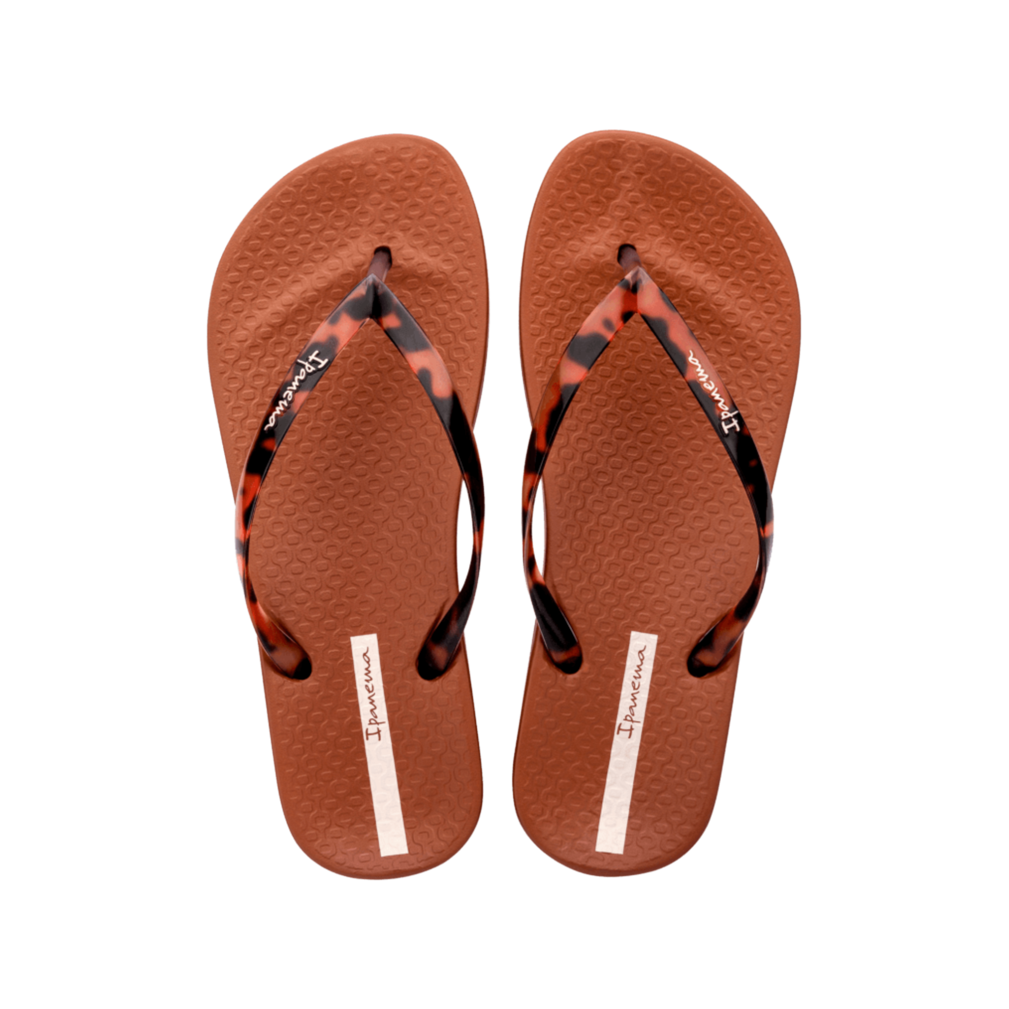 Anatomic Brown
