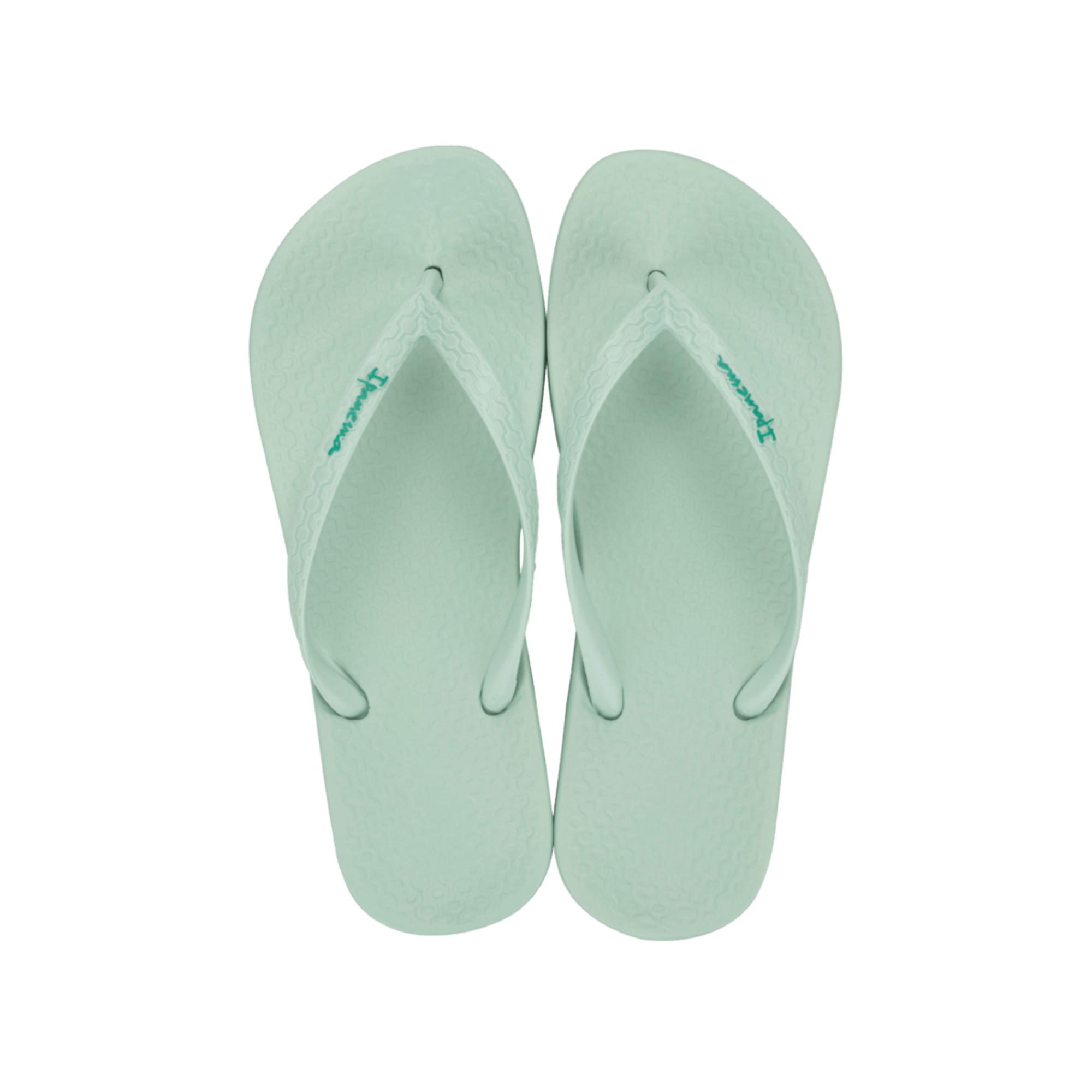 Anatomic Green