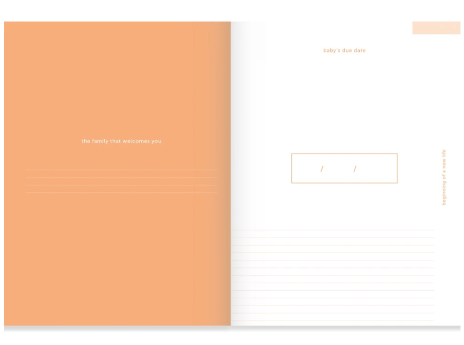 A-Journal 9 Months Journal