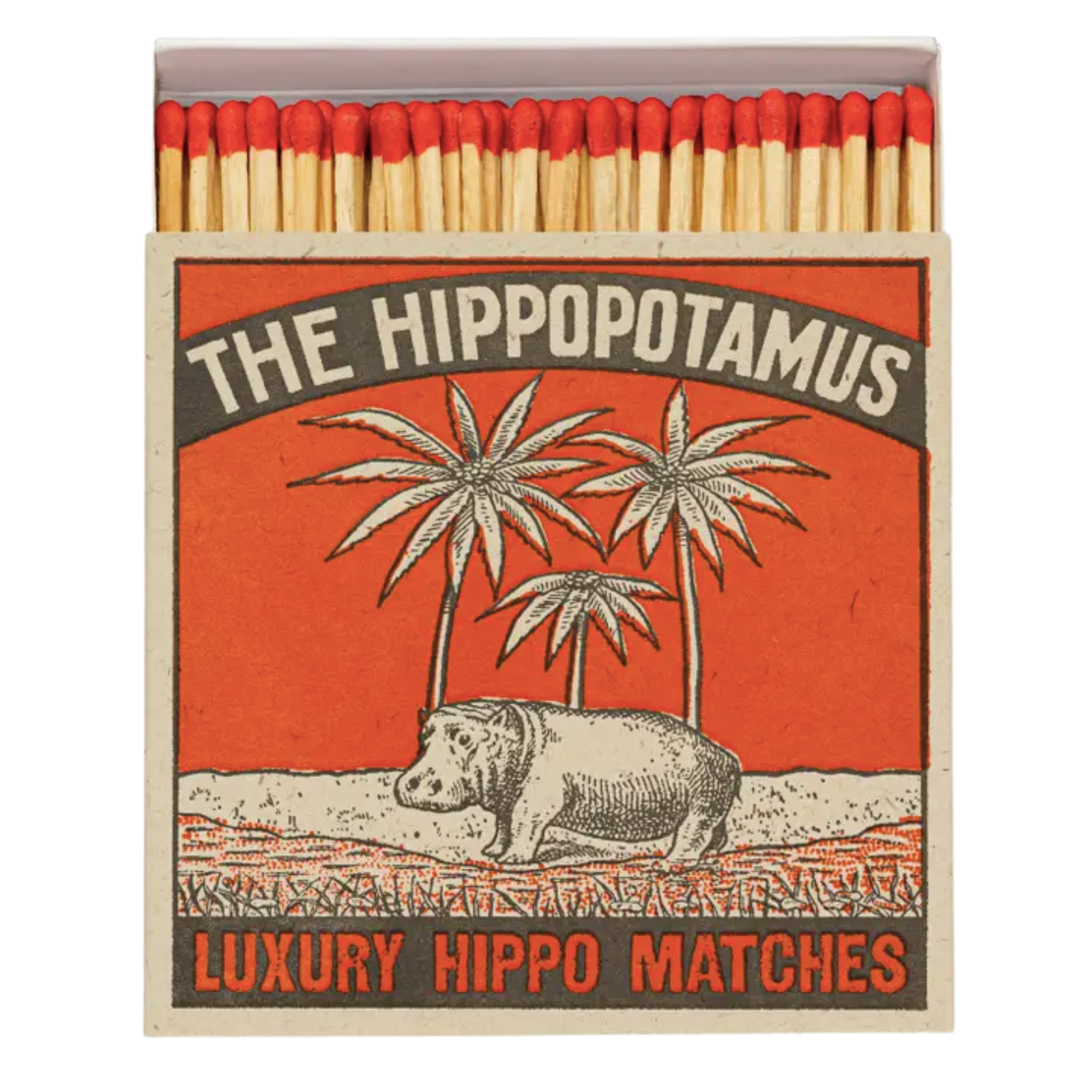 The Hippo Lucifers