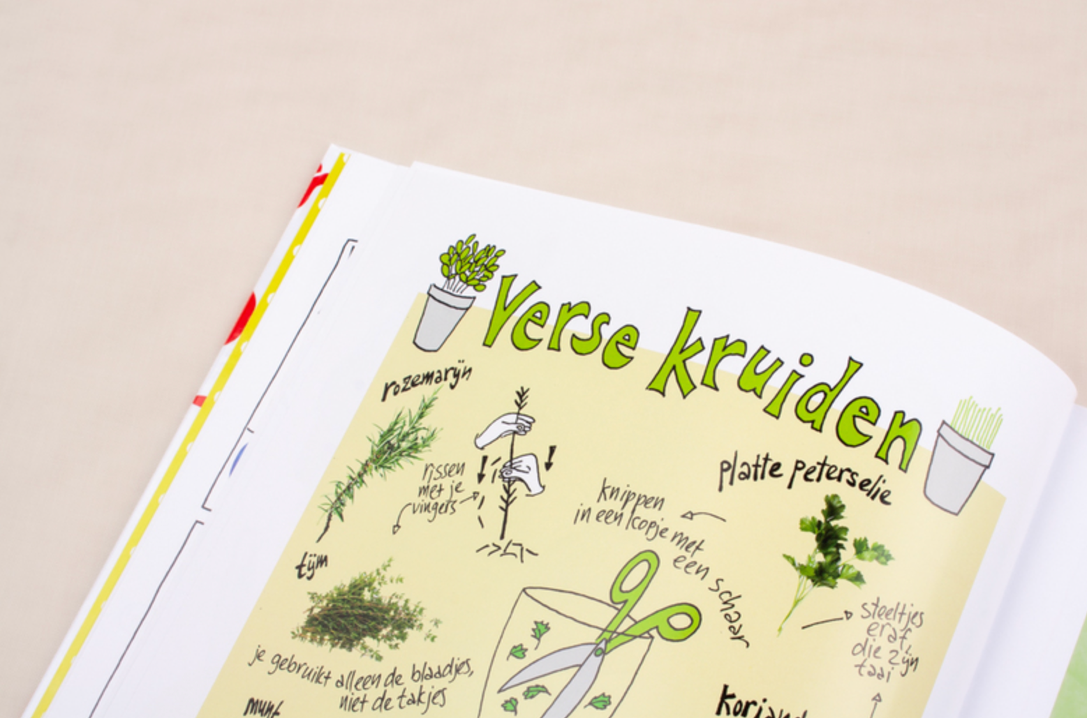 Het Grote Kinderkookboek