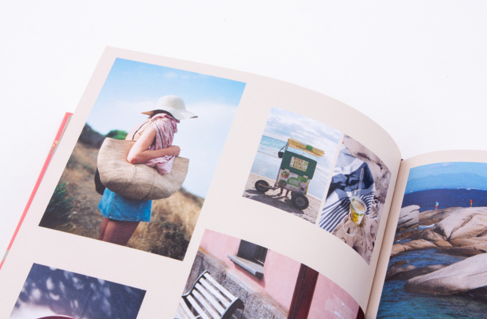 Wilde Vijg en Venkel