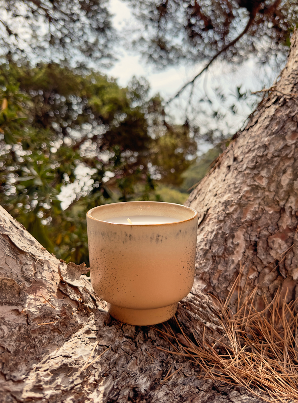 Geurkaars Vancouver XL