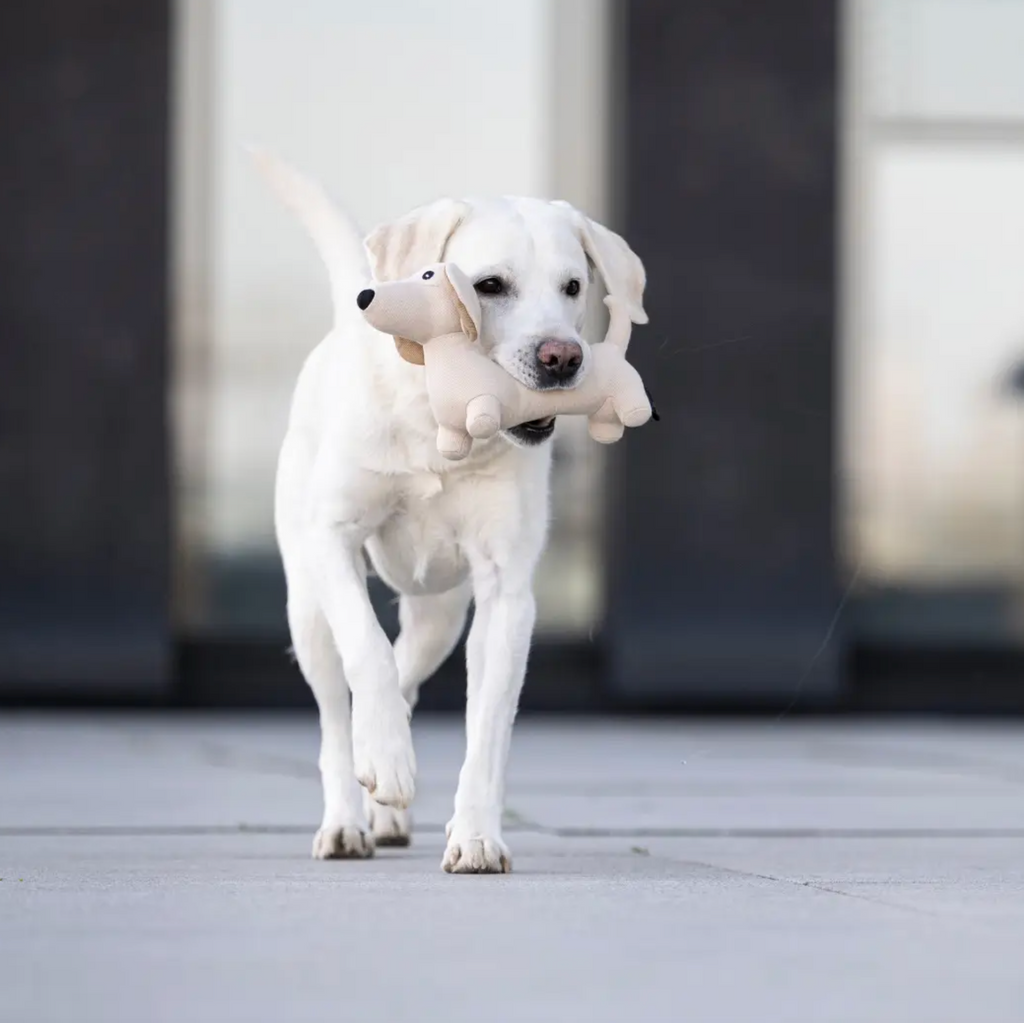 Teckel Hondenspeelgoed S
