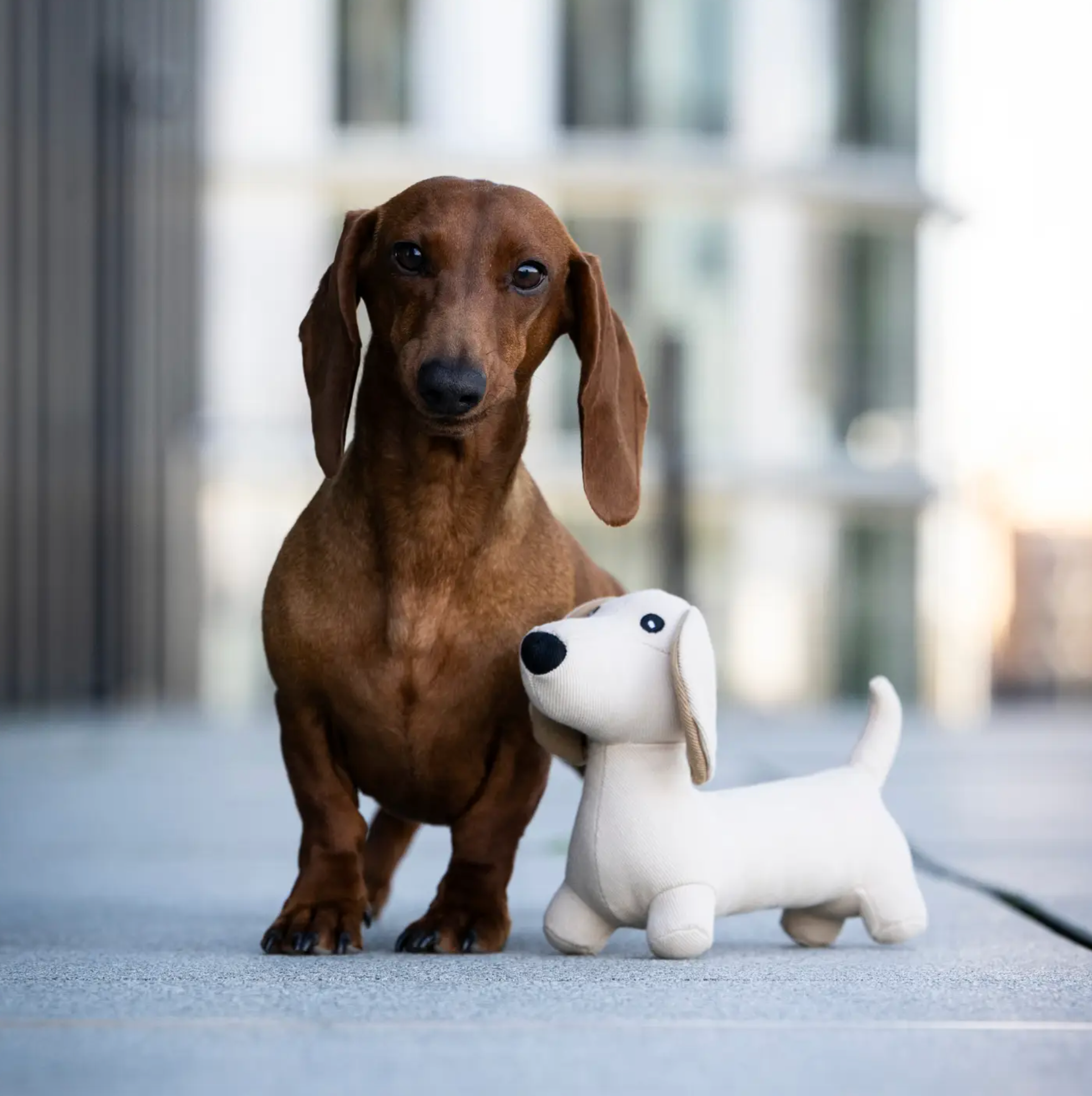 Teckel Hondenspeelgoed S