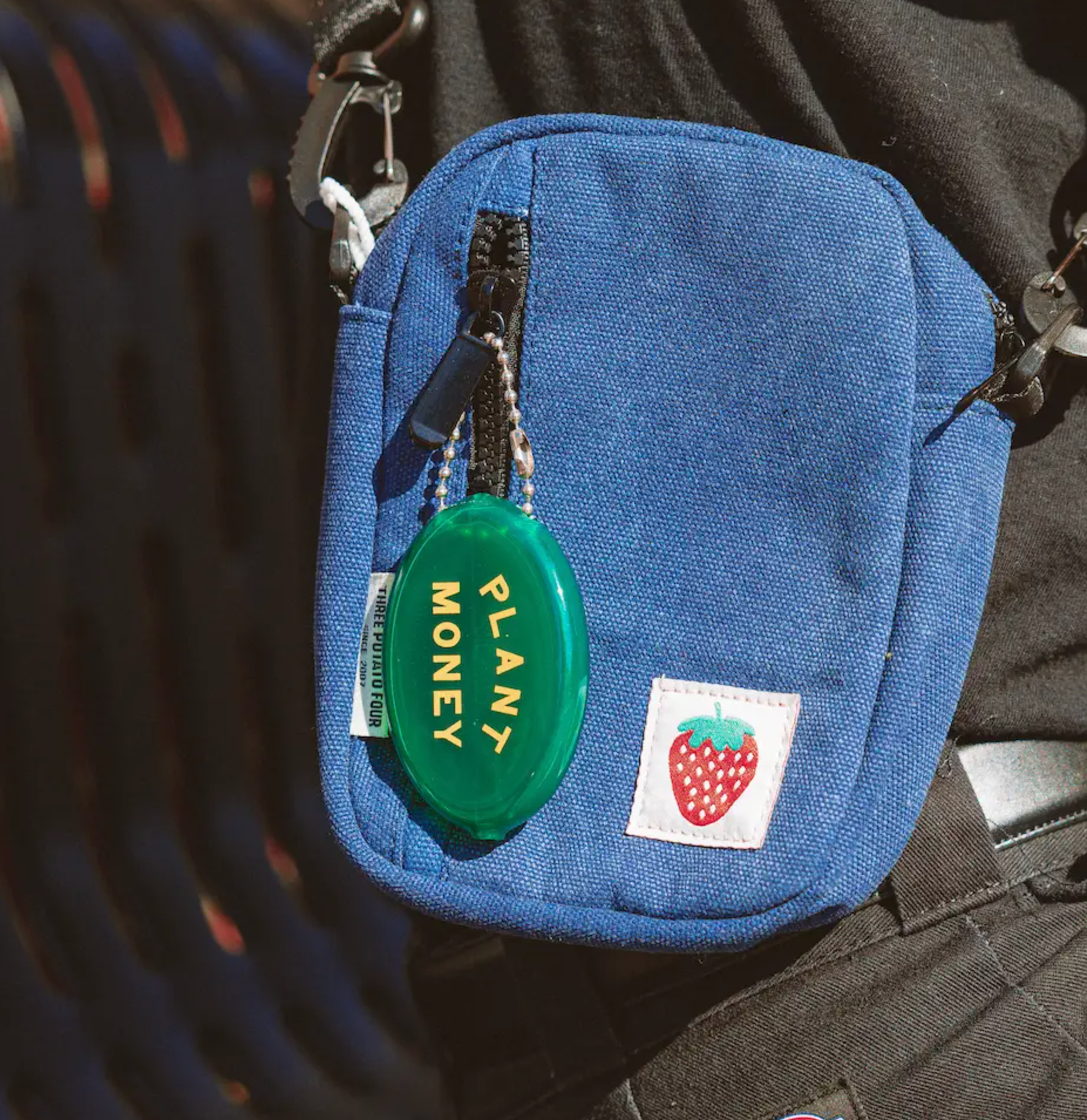 Muntenzakje Plant Money