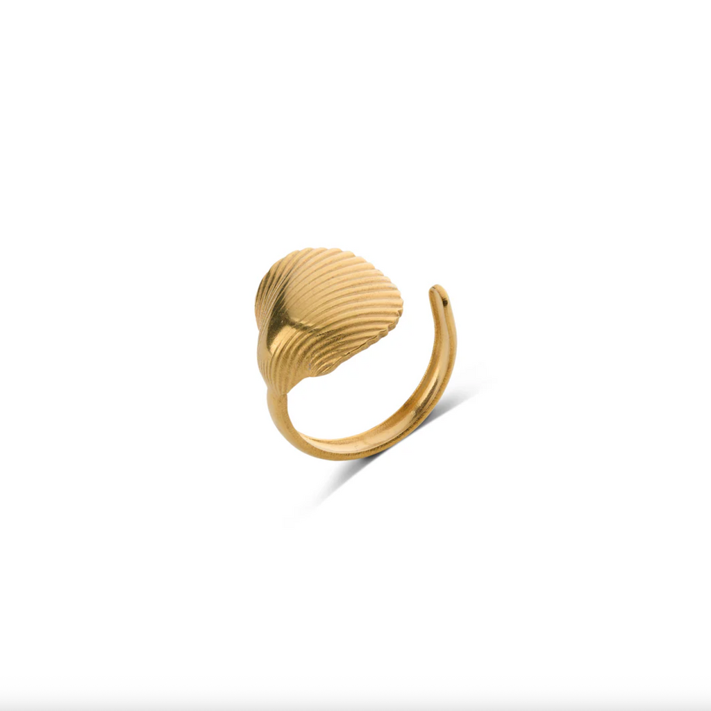 Ane Seashell Open Ring