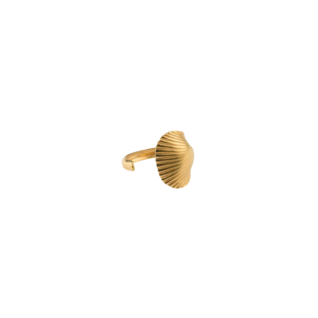 Ane Seashell Open Ring