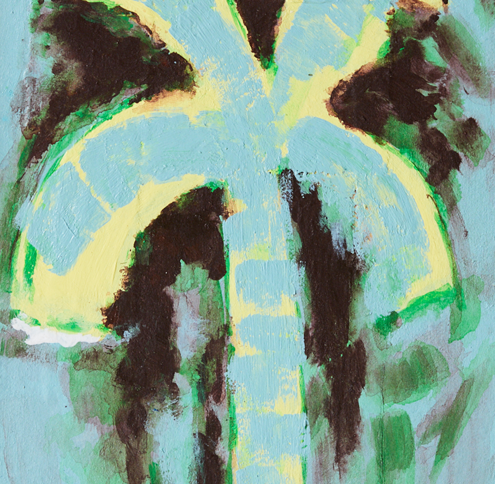 Pocket Exhibit Palmate