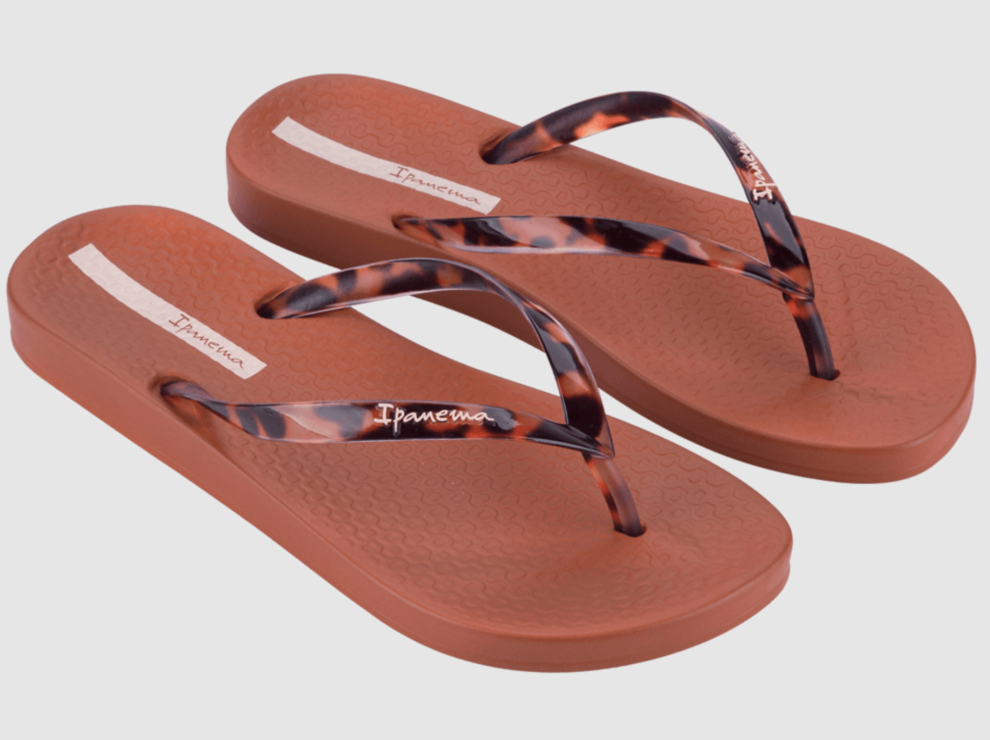 Anatomic Brown