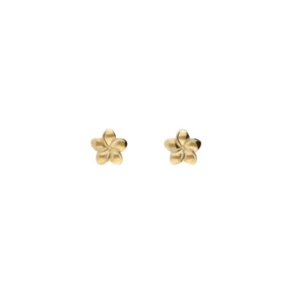 Tropical Stud Oorringen Goud