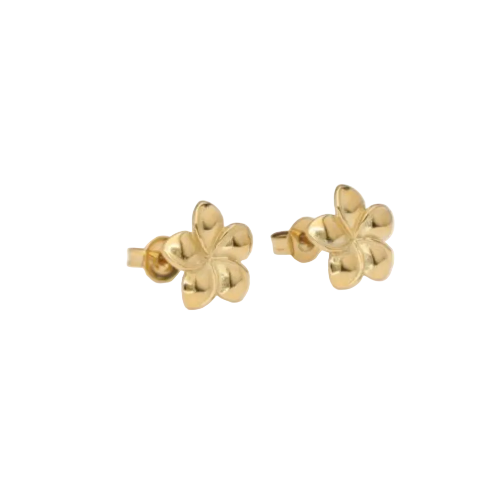 Tropical Stud Oorringen Goud
