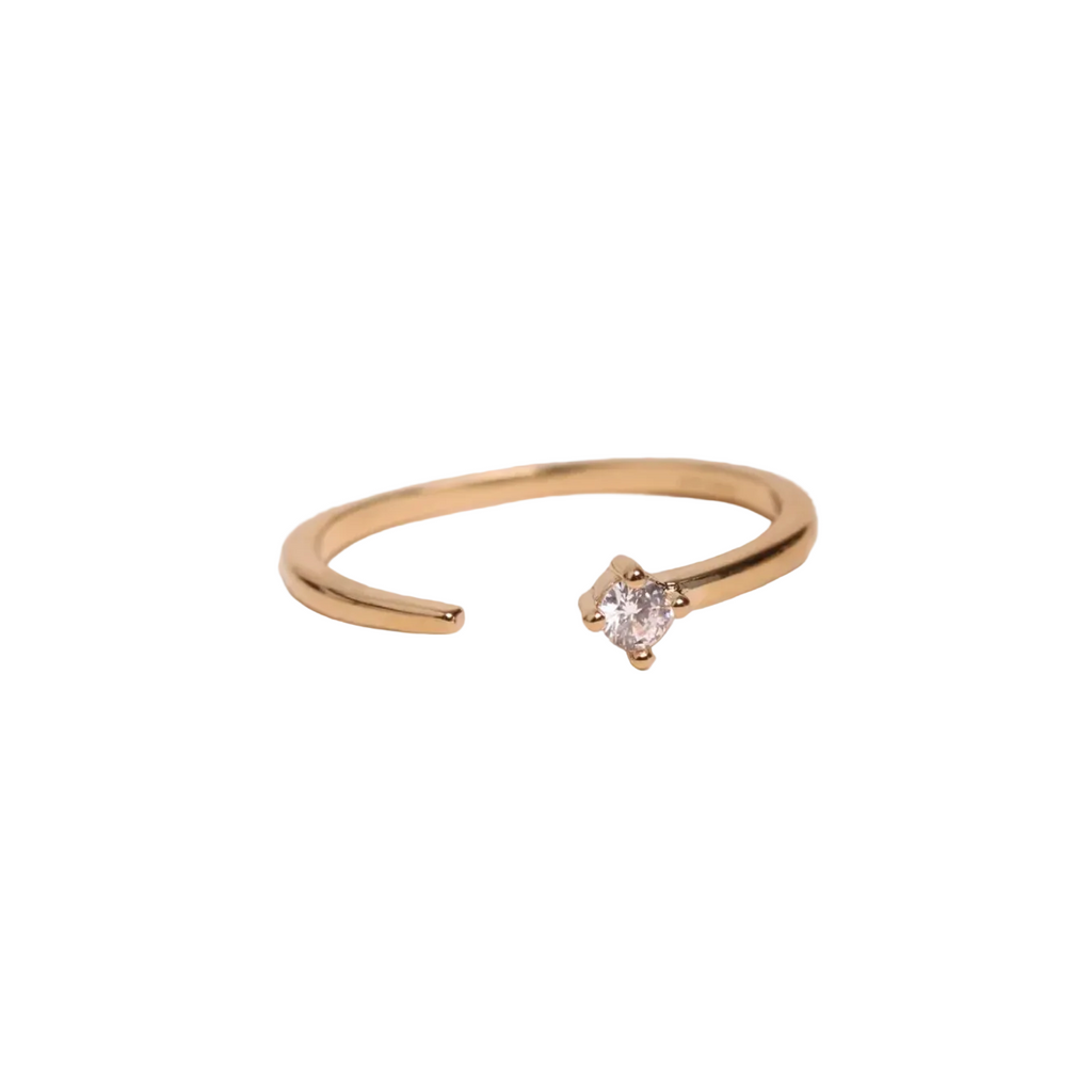 Andrea Ring Goud