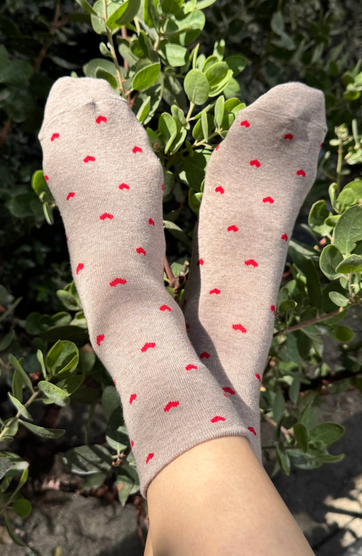 Sneaker Socks Heart Latte