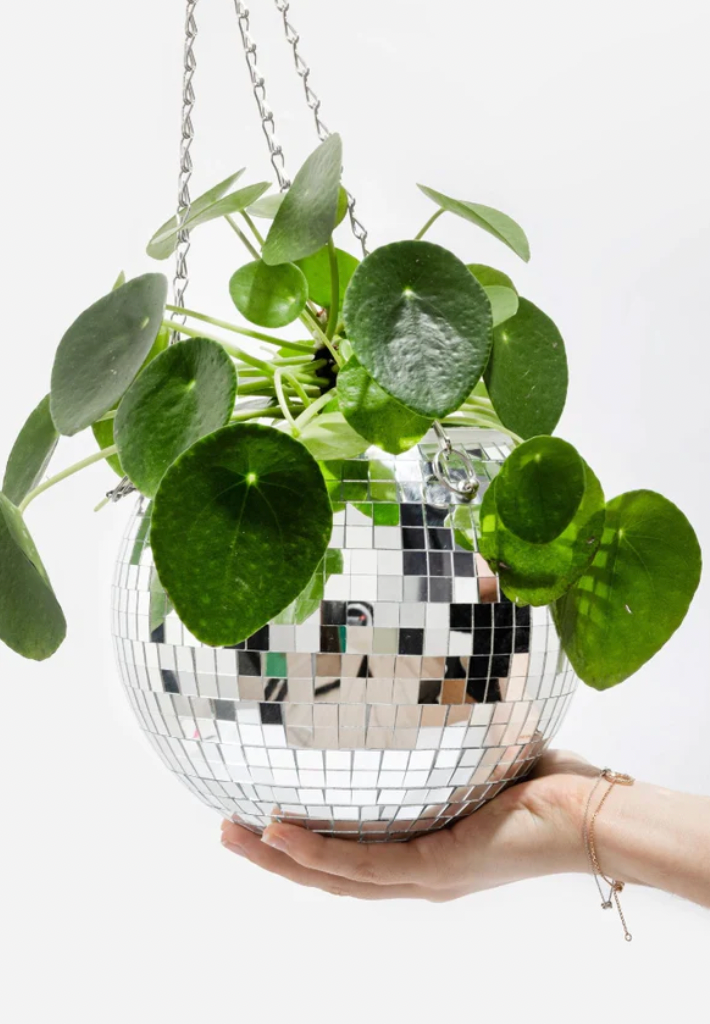 Disco Bloempot Medium