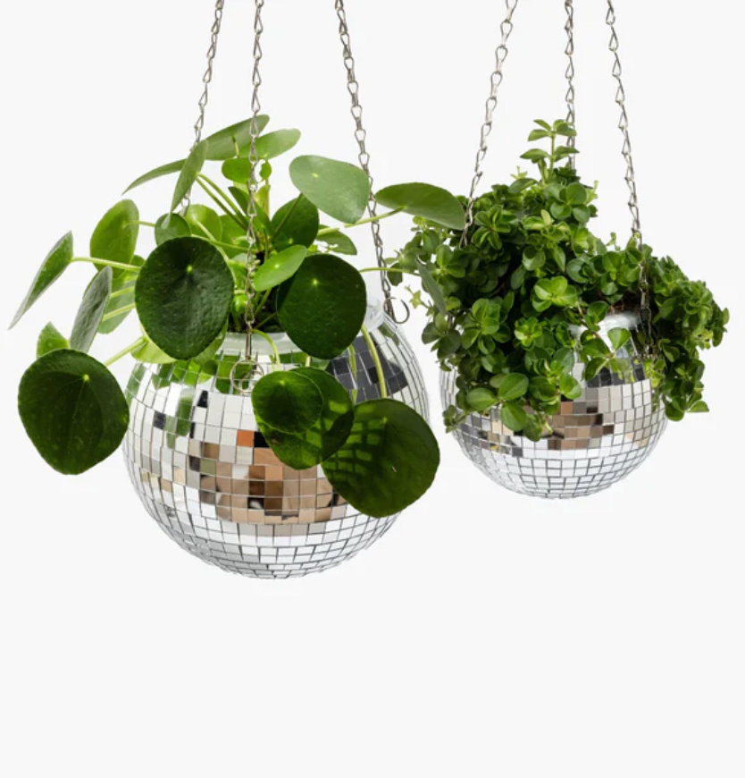 Disco Bloempot Medium