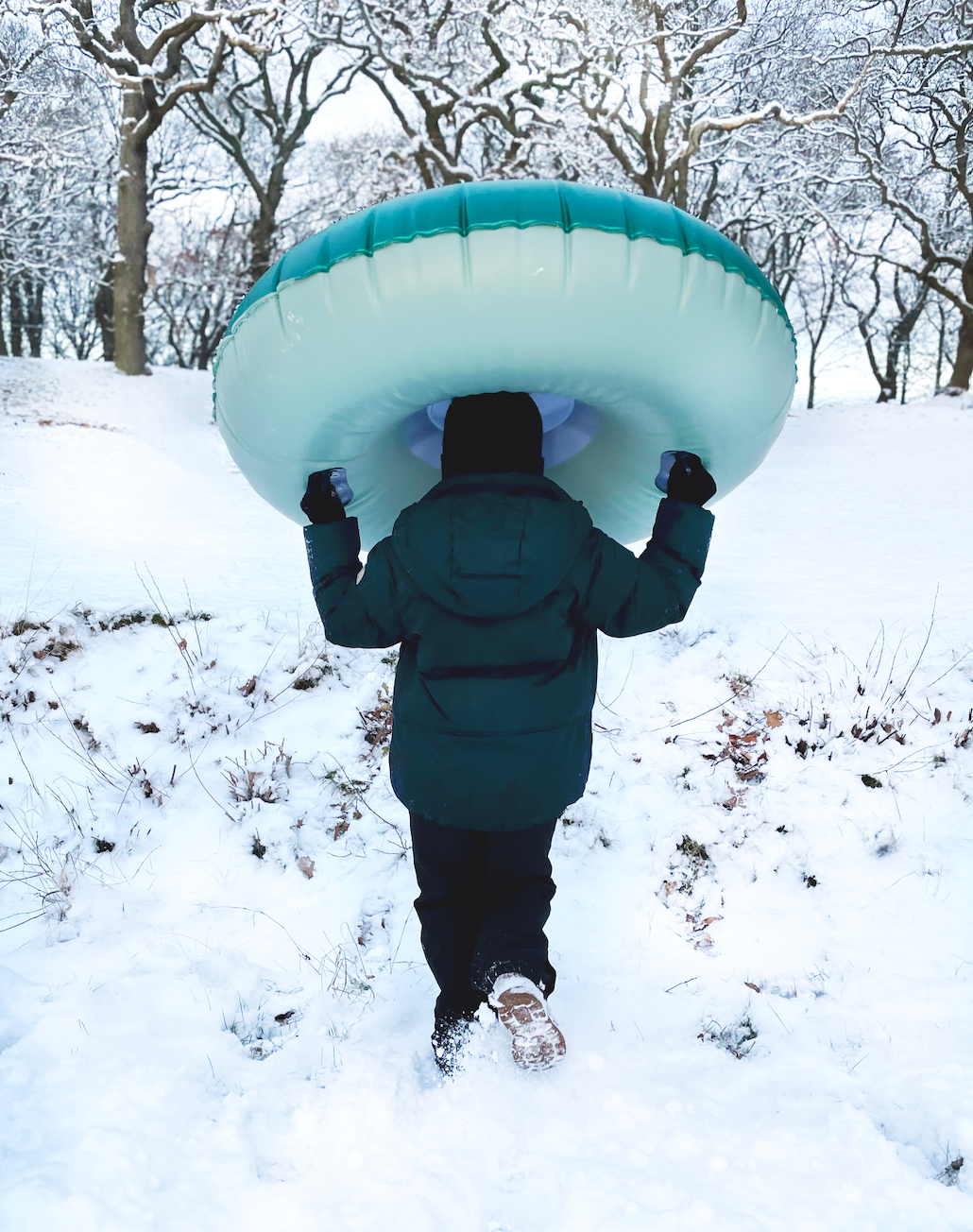 Alpine Winter Sneeuw Float Rose/Creme