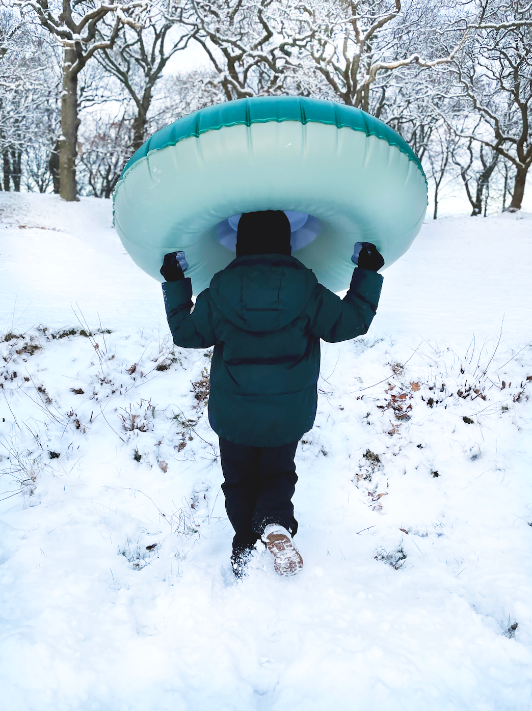 Alpine Winter Sneeuw Float Ruby/Creme