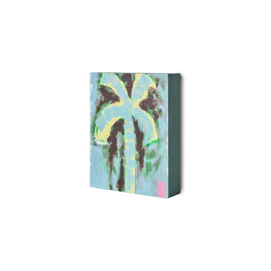 Pocket Exhibit Palmate