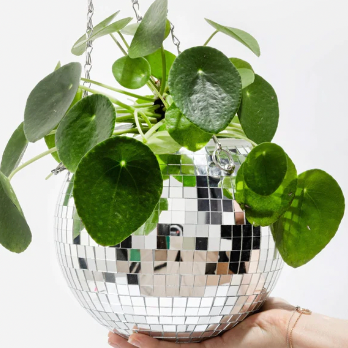 Disco Bloempot Medium